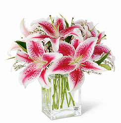 Pink Lily Bouquet from Lloyd's Florist, local florist in Louisville,KY
